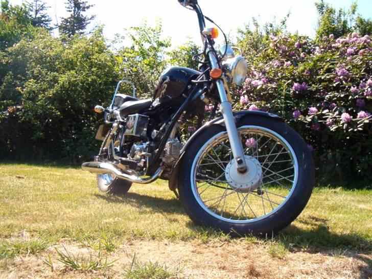 Regal raptor dadyw 50 "solgt" billede 10