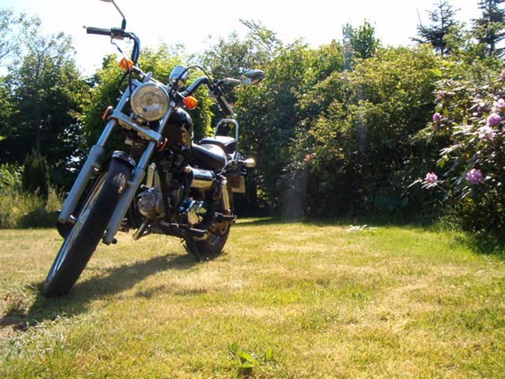 Regal raptor dadyw 50 "solgt" billede 11