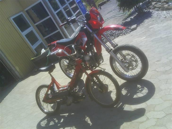 Puch maxi  >solgt< billede 9