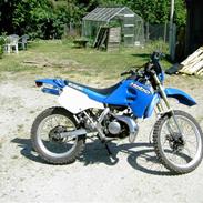 Suzuki RMX "Totalskadet"