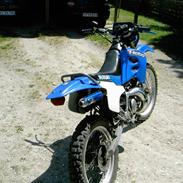 Suzuki RMX "Totalskadet"