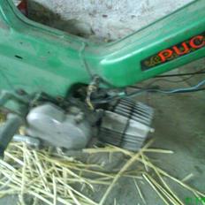 Puch Maxi K - E50 