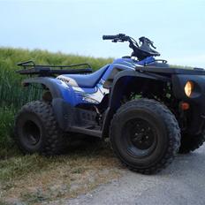 Suzuki aeon cobra (solgt)