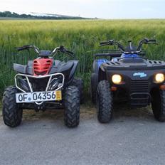 Suzuki aeon cobra (solgt)