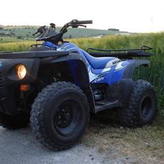 Suzuki aeon cobra (solgt)