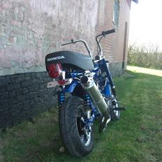 Honda dax st50 