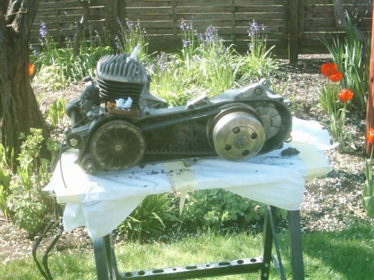 Peugeot Speedfight 2 - Så er blokken skilt ad og forholdsvis renset. Så nu er den blevet pæn igen. billede 16