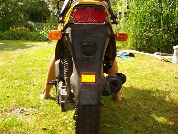 PGO Hot 50. //solgt// billede 6