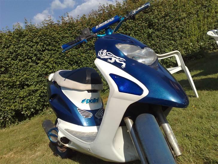 Honda         Sfx SOLGT billede 1