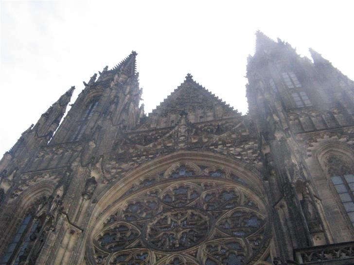 Suzuki dm 50 solgt billede 7