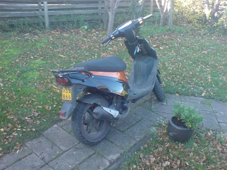 PGO Hot50 - taget d. 21-11/08 billede 1