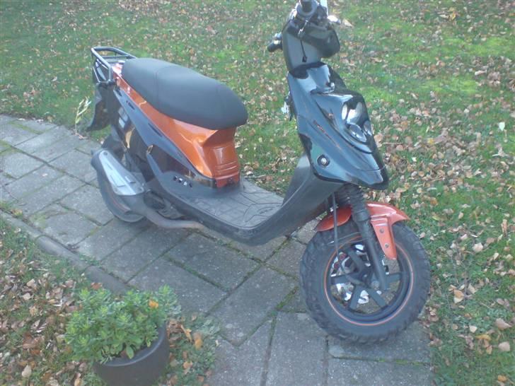 PGO Hot50 - taget d. 21-11/08 billede 3