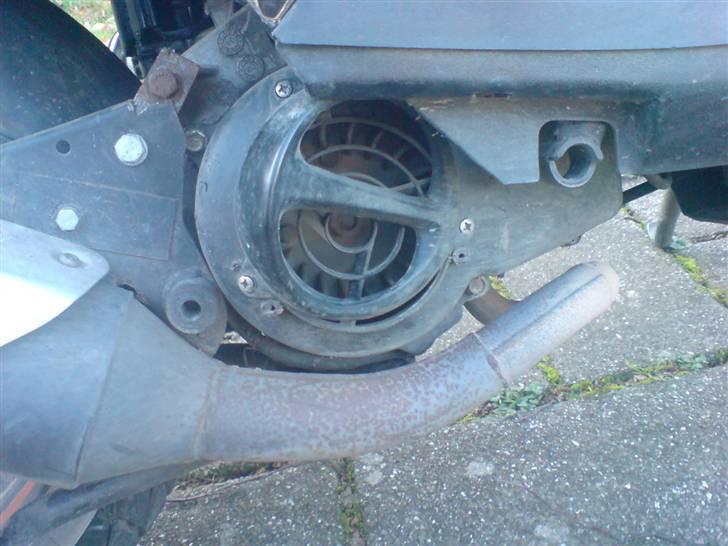 PGO Hot50 - grisetryne og ophæng til udstødning billede 6