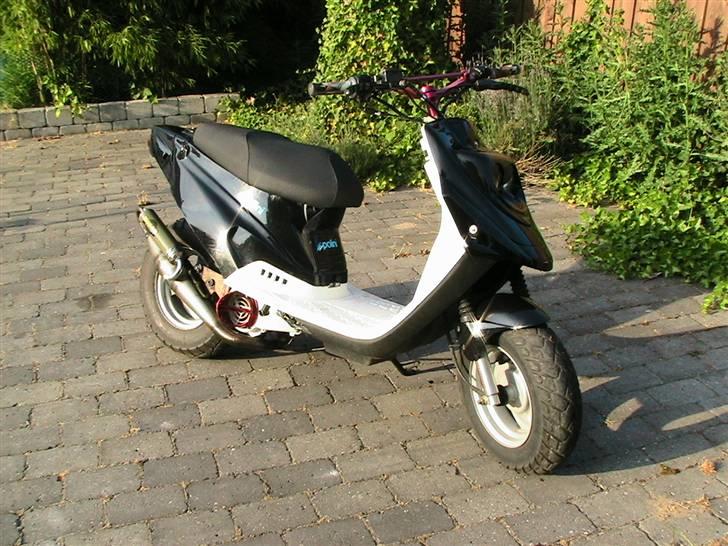 PGO Hot (Solgt) - Taget d. 9/6 2008! billede 3