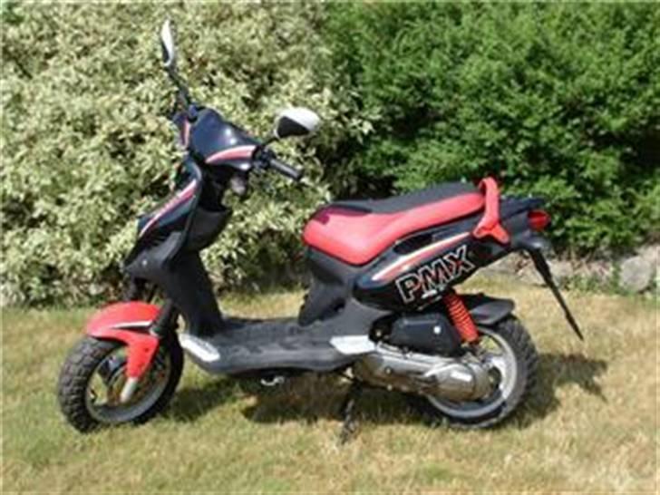 PGO PMX sport billede 2