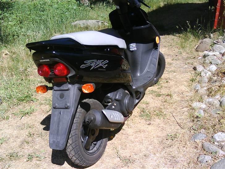 Honda SFX billede 7