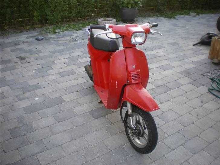 Honda Melody billede 1