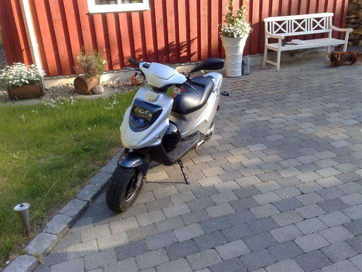 PGO hot 50 - Nyt! billede 1