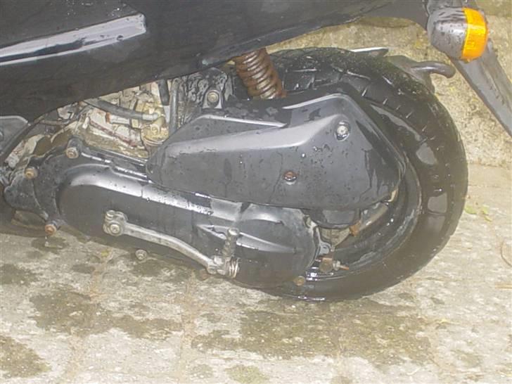 Honda SFX SOLGT billede 1