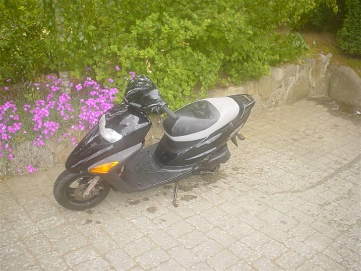 Honda SFX SOLGT billede 2