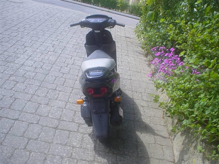 Honda SFX SOLGT billede 4
