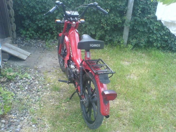 Tomos wizzrd BYTTET TIL MAXI billede 5