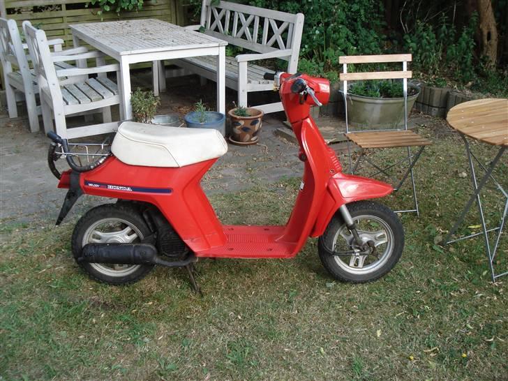 Honda Mini Melody{Solgt} billede 4