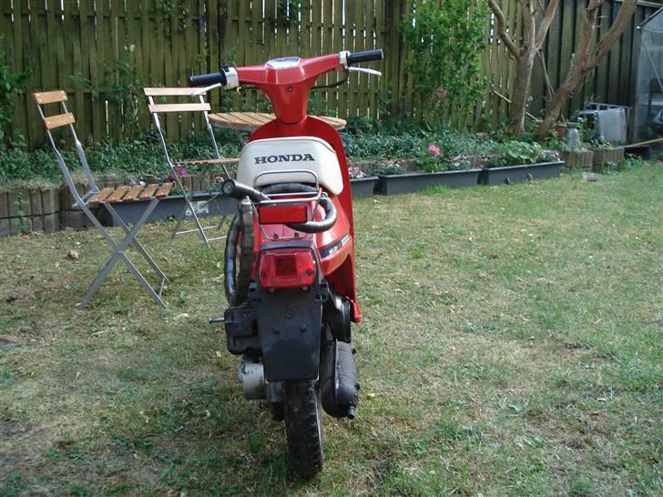 Honda Mini Melody{Solgt} billede 6