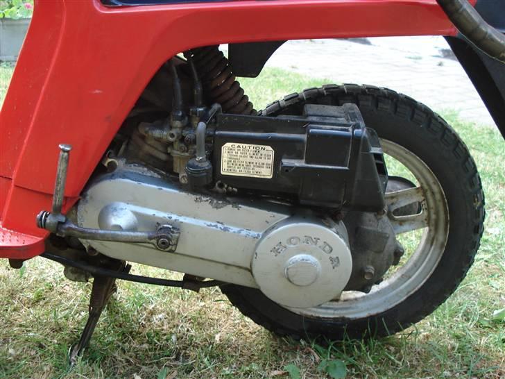 Honda Mini Melody{Solgt} billede 13