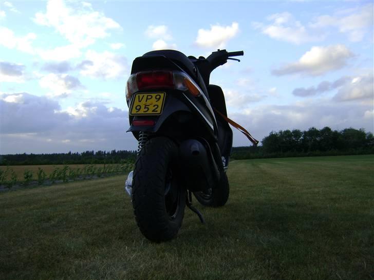 Gilera  *Staldmissen*-  Solgt billede 3