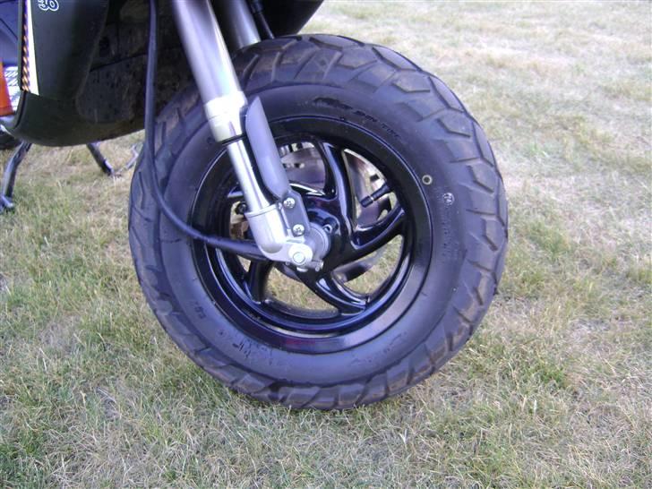 Gilera  *Staldmissen*-  Solgt billede 7