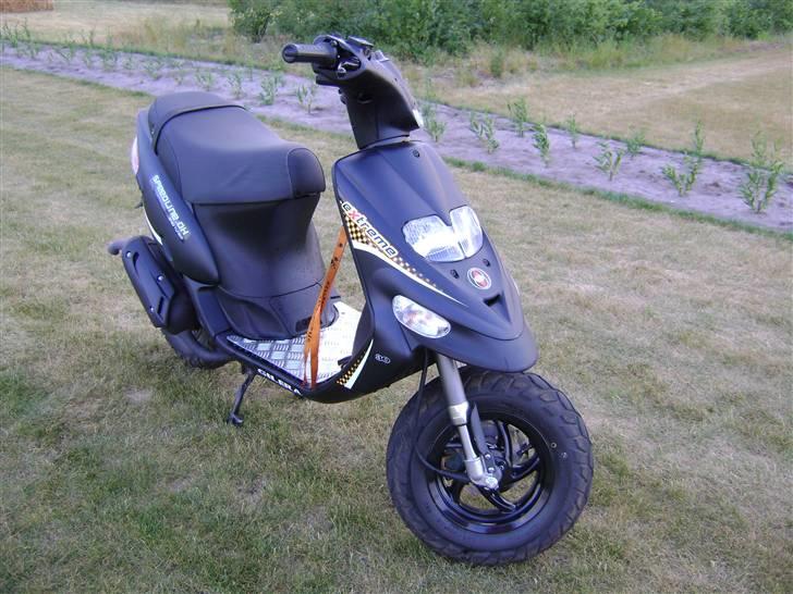 Gilera  *Staldmissen*-  Solgt billede 9