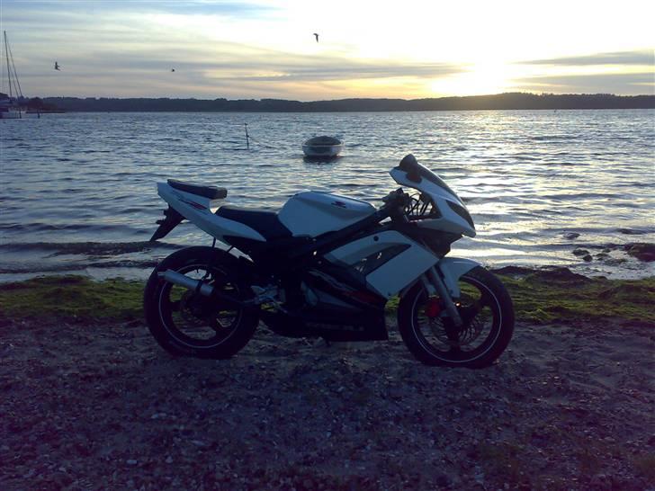Rieju RS 2 Matrix "White" billede 1