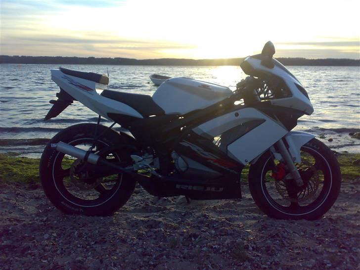 Rieju RS 2 Matrix "White" billede 9