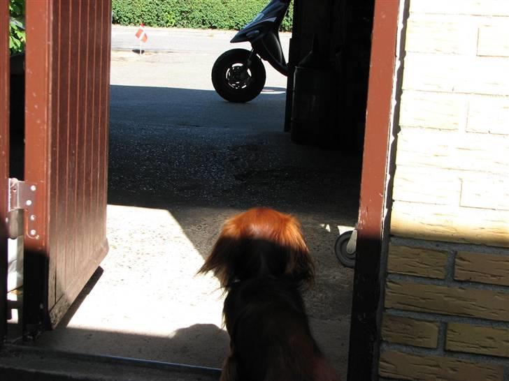 Gilera Stalker SOLGT - 5-6-08 billede 17