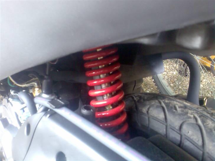 Sym DD død billede 4