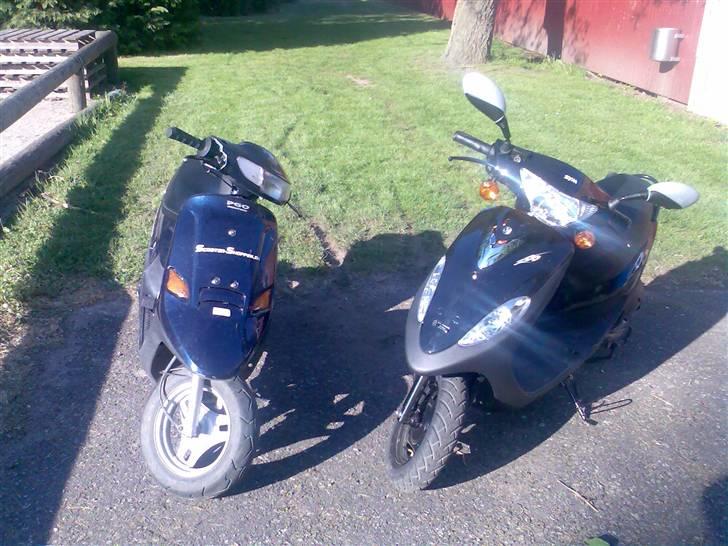 Sym DD død billede 13