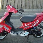 Peugeot speedfight 2 206 Bytte