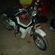 Suzuki FZ 50 Lysshow