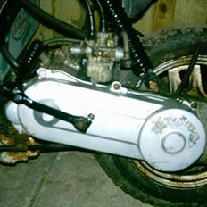 Honda melody (SOLGT)