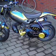Suzuki street magic SOLGT