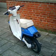 Honda melody *SOLGT*