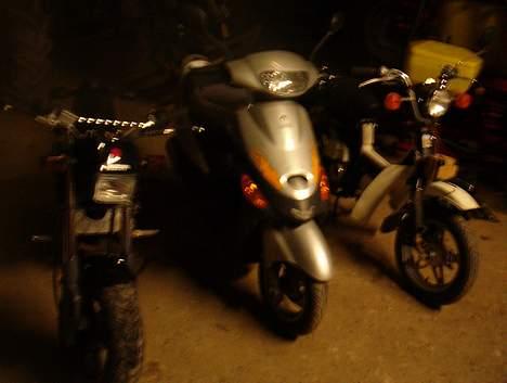 Suzuki FZ 50 Lysshow - ssm, listo og fz´er... billede 7