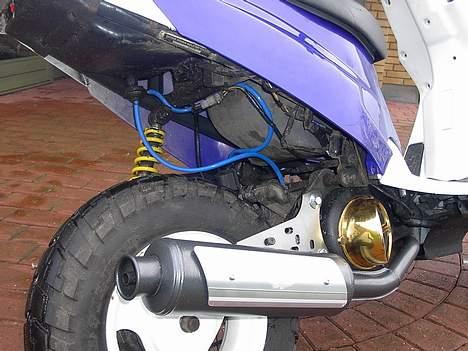 PGO HOT 50 SOLGT - Blå slanger, støddæmperen, proma legal og grissetrynen (kølerskjold)! :) billede 1