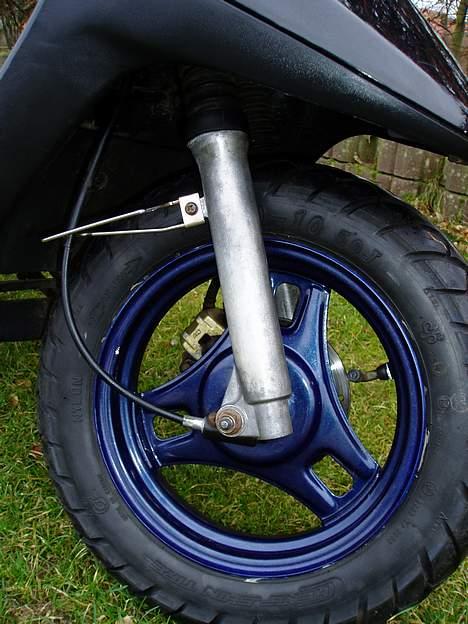 PGO                     Comet billede 6