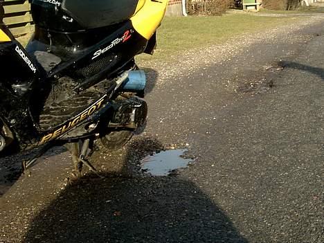 Peugeot speedfight 2 - gammel billede 7