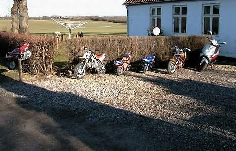 MiniBike Harley - Chopper - Har en pæn lille samling billede 2