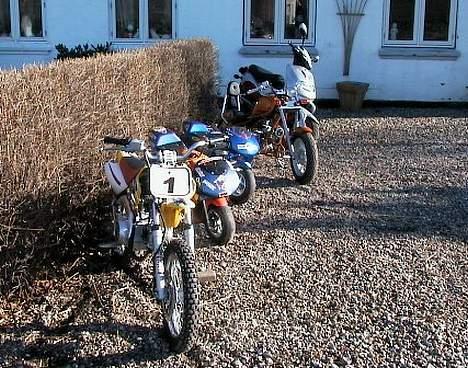 MiniBike Harley - Chopper billede 3