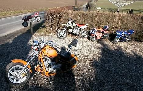 MiniBike Harley - Chopper billede 5