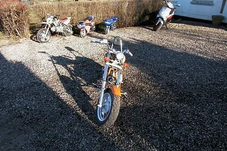 MiniBike Harley - Chopper billede 8